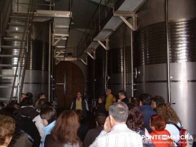 Bodega Vega Real - Turismo en Ribera del Duero